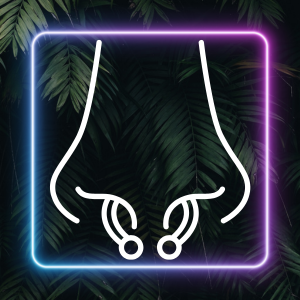 Horseshoe auskarai
